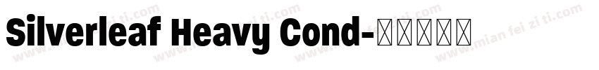 Silverleaf Heavy Cond字体转换